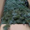 6 ft. Unlit Artificial Christmas Tree Spruce Hinged Tree