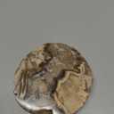 Petrified Wood Novelty Coasters, il Lovers, Gifts for Fossil Lovers
