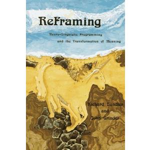 Reframing: NeuroLinguistic Programming and the Transformation of Meaning Paperback