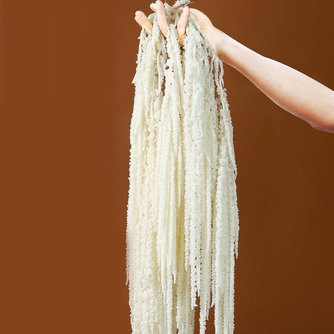 5Pcs Dried Amaranthus Hanging Flowers, 23" White Preserved Natural Wisteria for Wedding Arch, Fall Thanksgiving, Table Centerpiece, Wall Hanging Lover Tears, Floral Arrangement, Farmhouse Dcor