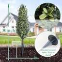 30inch Artificial Boxwood Plant with Ground Spike, Topiary with Stake for Outdoor (Set of 2)