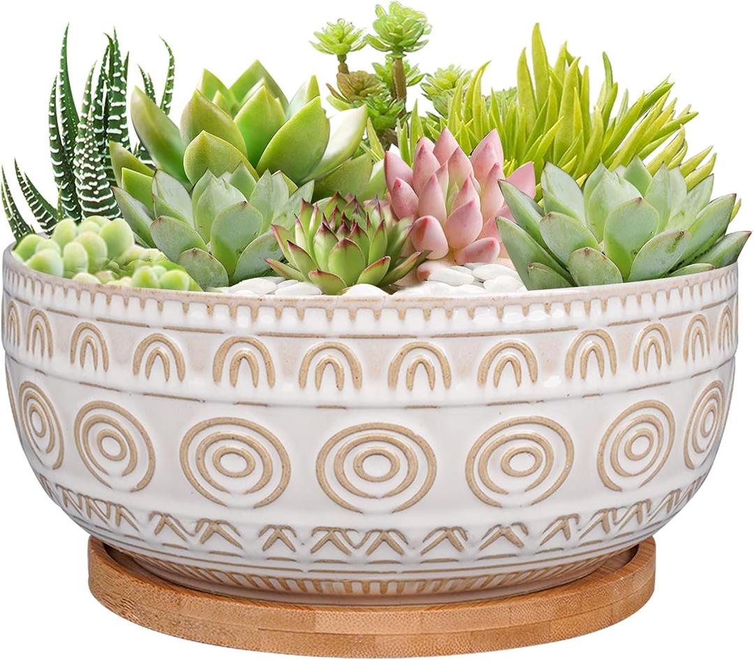 Eightpot 8 Inch Ceramic Succulent Planter Pot with Drainage Hole and Saucer Round Shallow Planter for Indoor Plants, White