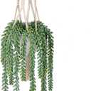 Fake Hanging Plants Mixed Fake Succulents Artificial Hanging Plants Realistic Hanging Succulent Fake Plants with Pot 20.5'' Faux Hanging Plants Indoor for Home Bedroom Porch Wall Window Sill Decor