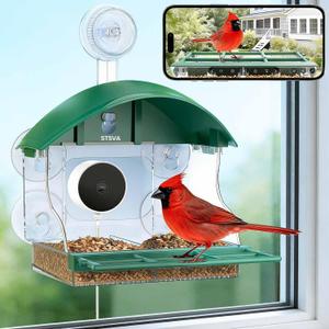 Window Bird Feeder with Camera for Bird Watching,2K Live Video,AI Bird Identification,Instant Arrival Alerts,24/7 Recording,Support 2.4G/5G WiFi,Featuring 5 Strong Suction Cups. (Green)