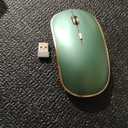 JOYACCESS 2.4G Slim Wireless Silent Mouse, Portable Wireless Computer Mouse with 5 Adjustable DPI Levels, USB Mice for Desktop, Notebook, MacBook, Chromebook, PC (Green)