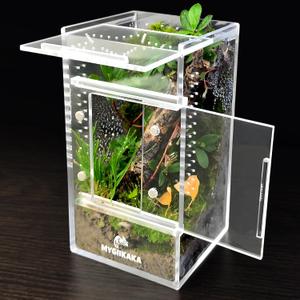 MYGIIKAKA Jumping Spider Enclosure Accessories, Tarantula Spider Box, Bug Cage, Praying Mantis Habitat Enclosure, Snail Insect Terrarium, Caterpillar Habitat (3x3x6 inch)