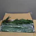 4 Pcs Artificial Norfolk Pine Garlands Christmas, 9 FT Dense Real Touch Winter Pine Garland Ornament, Green Artificial Greenery Garland for Table, Mantle, Wall, Indoor, Outdoor Christmas Decorations