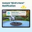 Birdfy Smart Bird Bath with Camera Solar Powered & Fountain, Dual-Lens Camera for Wildbird Watching, Auto Capture Bird Videos & Motion Detection - AI by Subscription (Blue)