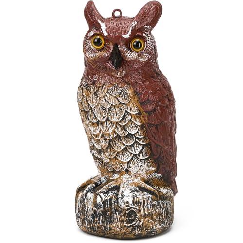Owl Deterrent 11 Inch – Plastic Fake Decorative Bird Scarecrow Protection, Nature’s Enemy Pest Repellent to Scare Birds Away, Outdoor Garden Yard Protector Statue, Realistic Eyes, Home Halloween Decor, Broken