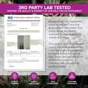 Natural Foundation Supplements Milk Thistle Supplement 240 Tablets Daily Liver Support 70mg 100:1 Extract 3rd Party Tested 80% Silymarin Made in The USA (240), Best Before March 2026