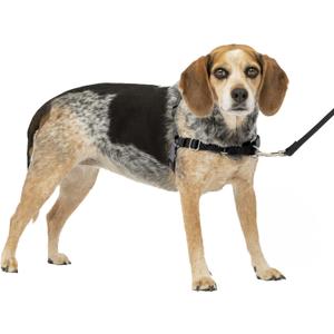 PetSafe Easy Walk No-Pull Dog Harness - The Ultimate Harness to Help Stop Pulling - Take Control & Teach Better Leash Manners - Helps Prevent Pets Pulling on Walks, Small/Medium, Charcoal/Black