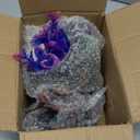 Fish Tank Decoration Betta Fish Tank Decorations Accessories, Aquarium Colorful Coral Reef Set, Coral Mountain x 1, Starfish Barrel x 1, Aquarium Decor Plants x 6