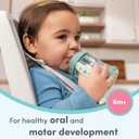 NUK Learner Straw Cup, 5oz, 2-Pack - Toddler Sippy Cup with Soft Straw for Easy Drinking, Suitable for Ages 6 Months and Up, Timeless Collection