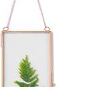 NCYP Hanging Glass Floating Frame with Chain for Pressed Dried Flowers, Display Picture, Photo - 4.1 x 9 Inches - Home Wall Mounted Vintage Decor, Small, Rose Gold (Glass Frame Only)
