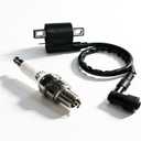2 PCS Racing Ignition Coil with Spark Plug, High Performance Upgrade Kit for CG125 50-250CC Vertical Engine, Compatible with ATV Dirt Bike Go Kart Motorcycle (Black)