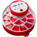 RENTACOOP Egg Incubator for 16 Eggs