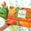 Taylors of Harrogate Assorted Green & Herbal Teas Sampler, Variety Pack Gift Box, Individually Wrapped Bags, 48 Count (Pack of 1), Premium Green & Herbal Teas, Mixed Caffeinated & Caffeine-Free Selection, 48 Teabags
