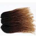3pcs/pack Kinky Curl 12Inch Afro Kinky Twist Hair Crochet Braids Soft Synthetic Crochet Hair Extention (12inchOTbrown)