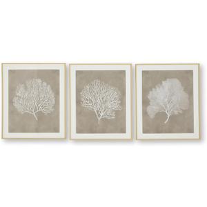Signature Design by Ashley Framed Coral Wall Art Set of 3, Taupe, 24.4"L x 20.4"W