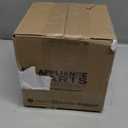 DB Toddler Mini Dinosaur Backpack with Child Leash, Anti Lost Wrist Link for Kids, Safety Harness Back Pack for Baby Boy Girl (Rose Red-a)