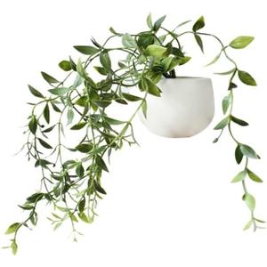 3D Green Plants Decorative Magnets for Fridge,Fridge Magnet Locker Magnets for Office Kitchen House,Refrigerator Magnets Refrigerator Magnets for Adults, Kitchen Accessories