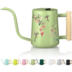 Watering Can Indoor Plants, 35oz Small Stainless Steel Metal Watering Can Modern Decorative Watering Pot with Long Spout for Indoor House Plant Bonsai Garden Flowers (Saga Green 1)