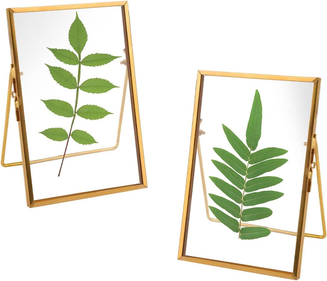 TLBTEK 2 Pcs 6x8 inch Desk double glass Photo frames kit,Gold brass metal Picture Frame vertical for Pressed Flowers,Clear DIY Vintage Artwork Display Frame