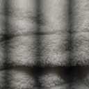 Bedsure GentleSoft Sherpa Fleece Oversized Cal King Blankets for Bed - Thick and Warm Throw for Women and Men, Soft Fuzzy Plush Large Blanket for Winter, White, 112x98 Inches