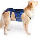 Coodeo Dog Back Brace for Dogs Arthritis, Pet Back Bracer for IVDD, Back Protector Helps Pain Relief, Surgical Recovery and Rehabilitation, Dogs Back Disease Prevention. (Blue,Medium)