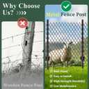10 Pack Metal Fence Posts, 5ft Heavy Duty U-Post, Black Garden Stakes, No-Dig Post Anchors for Wire Fences, Temporary Fencing, Electric Fence, and Corner Support