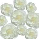 BRT Bearingshui Crepe Paper Flowers Decoration for Wall Total 9 Pcs, Artificial Flowers for Wedding Decor,Flower Backdrop Decor, Baby Bridal Shower Birthday Party, Beige 3D Wall Flowers Decor