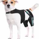 Dog Knee Brace for Torn ACL Hind Leg, Dog Leg Braces with 4 Metal Stabilizers Helps with Torn CCL, Luxating Patella, Ligament Injuries, Hip Dysplasia S