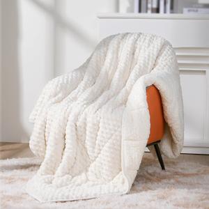 Topblan Weighted Blanket for Adults, 60" x 80" 20lbs, Soft Sherpa Queen Size Heavy Blanket with 3D Jacquard Turtle Shell Flannel Fleece for Couch and Bed (Cream)