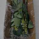 40 Pcs Artificial Greenery Eucalyptus Stem Silver Dollar Leaves Baby Eucalyptus Leaves Suitable for Family Wedding Vase Centerpieces Bouquet Flower Arrangement