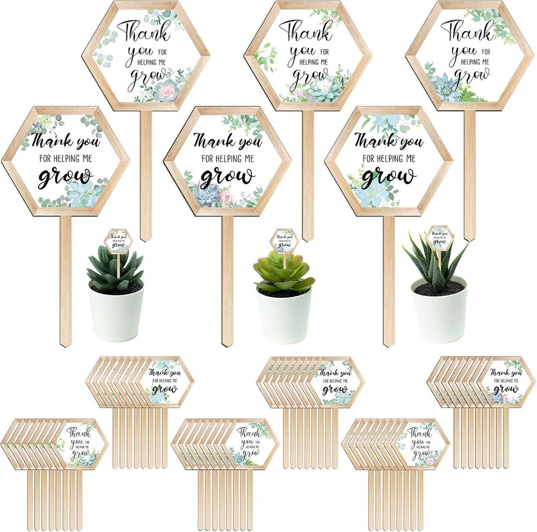 48 Pcs Thank You for Helping Me Grow Succulent Tags Teacher Appreciation Gifts Hexagon Wooden Plant Stakes Label Garden Marker Plant Sign for Teacher's Day Xmas Thanksgiving (Teacher Style)