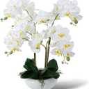Ziwon Artificial Orchid Flowers Potted in Ceramic Pot, White Faux Phalaenopsis Orchids for Table Centerpiece, Realistic Fake Flower in vase for Home Office Decor Indoor (Ww11)
