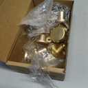 Ravinte 10 Pack Cabinet Knobs Champagne Gold Kitchen Cabinet Knobs Round Dresser Drawer Pulls Closet Door Pulls 1-1/5 Inch