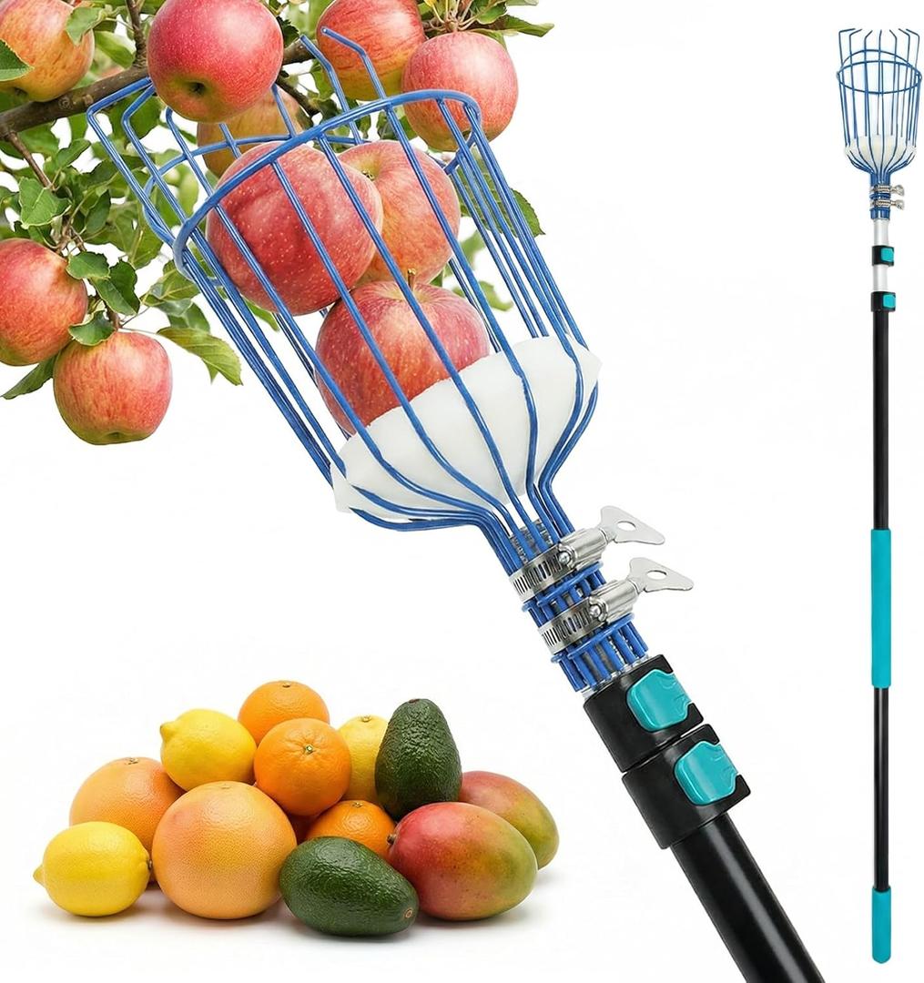 MAVRIZ 5-12ft Fruit Picker Pole with Basket, 20FT Reach Telescoping Apple Picker Extension Pole, Fruit Grabber for Harvesting Mango, Orange, Lemon, Avocado, Pear - Sturdy Aluminum Fruit Tree Picker
