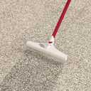 ROBERTS 12" Carpet Rake and Groomer with 51" Handle