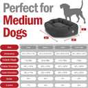 Majestic Pet 32 Inch Bagel Calming Dog Bed Washable – Cozy Soft Round Dog Bed with Spine Support for Dogs to Rest Their Head - Fluffy Donut Puppy Mat 32x23x7 (Inch) Medium – Gray