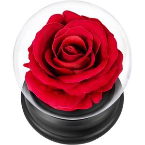 Rose Flowers Birthday Gifts for Women, Forever Flowers in A Dome, Mom Women Wife Girl Grandma on Christmas Anniversary Valentines