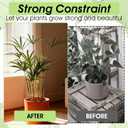 Iron Plant Stem Support, 4Pcs Reusable Sturdy Plant Supports for Indoor Plants Lightweight Plants Accessories Indoor for Bamboo Multi-Stemmed Flowers Thriving Growth