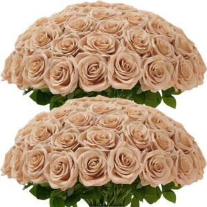 Carlitas Blooms 50pcs Beige Roses Artificial Flowers Bulk Fake Roses Silk Flower with Stems Realistic Flowers for Wedding Centerpiece Party Birthday Decor