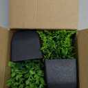 2 Pack Small Fake Plants Black Bathroom Accessories for Home Bedroom Bathroom Kitchen Decor