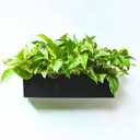 LaLaGreen Wall Planter (16 Inch, 1 Pack) Rectangular Metal Hanging Flower Pot for Succulents Carbon Steel Black, Long Window Sill Box Modern Fence Floating Garden Shelf for Deck Indoor Outdoor Decor