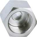 Pysrych Stainless Steel 304 Forged Pipe Fitting, Hex End Cap, 3/4" NPT Female, Class 3000 (Pack of 1)