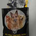 PetJett Choke Collar for Dogs Training Collar Adjustable Prong Collar for Dog Quick Release Pinch Collar for Dog for Small Medium Large Dogs No Pull Walking Tool - Stainless Steel Metal Choker Chain (Small: 14 - 16" / 35 lbs, Black)