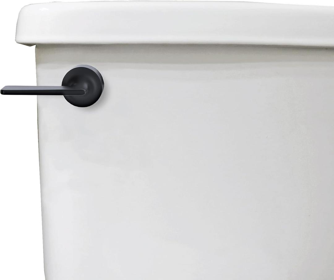 Danco 12052 Toilet Tank Lever, Matte Black