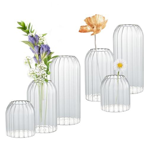 Bud Vases in Bulk Set of 5, Glass Small Vases for Flowers, Modern Cylinder Ribbed Vases for Wedding Centerpiece, Living Room Decorative, Home Decor