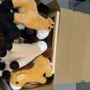 Arrowbash 36 Pcs Adopt a Horse Party Favor Mini Plush Horse Stuffed Animal with 10 White Plastic Fence 12 Kraft Paper Bags Wooden Chalkboard Sign for First Rodeo Birthday Pony Cowboy Farm Supplies